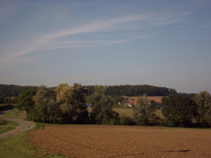 DSCI0141